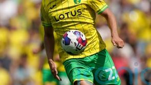 Norwich to check on Teemu Pukki ahead of Millwall match