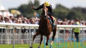Stradivarius misses Lonsdale Cup run