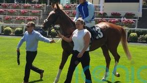 Defence facing Solario &lsquo;acid test&rsquo; for Chapple-Hyam