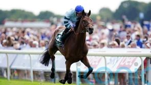 Quickthorn looks a star in absolutely routing Lonsdale Cup rivals