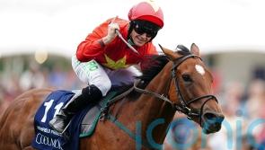 Highfield Princess just magical in Nunthorpe