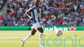 We love him &ndash; Brighton boss Graham Potter excited by Moises Caicedo potential