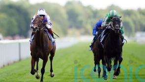 Dettori dazzles as Kinross claims York glory