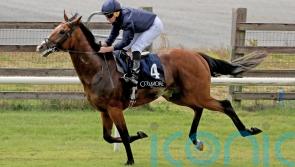Hiawatha and Continuous add to O&rsquo;Brien&rsquo;s riches