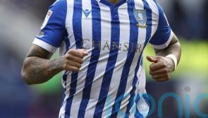 Darren Moore hails Liam Palmer after marking landmark game with goal