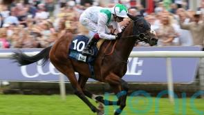 Goodwood option for Hoo Yal Mal before Leger bid