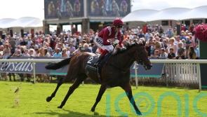 Mishriff team mulling international options after York defeat