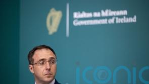 Ryan calls for two investigations into Robert Troy&rsquo;s &lsquo;significant errors&rsquo;