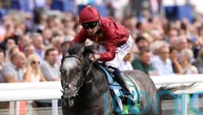 Roaring Lion records first winner as a sire in Ireland