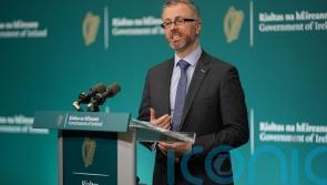 Coalition saw Troy controversy as &lsquo;significant issue&rsquo; &ndash; Green Party minister