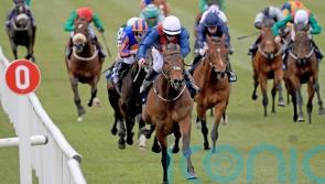 Glory Daze sold to continue his career in Australia