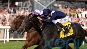 Seven-furlong options now open to Wings Of War