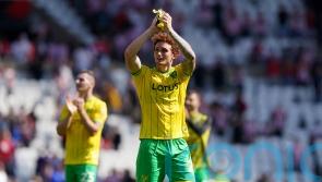Josh Sargent and Norwich pile more misery on Sunderland