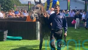 Amichi makes no mistake to land Newmarket riches