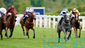 Art aiming to put on Sprint Cup show