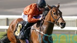 Double delivers Supreme success for Wall