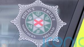 Witnesses sought after Co Down man attacked with knives and hammers