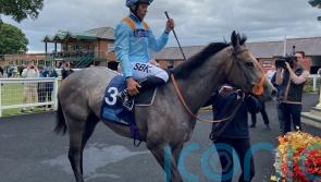 Shouldvebeenaring just champion in Ripon feature