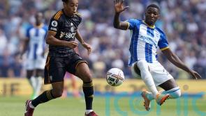 Graham Potter not surprised by transfer interest in Moises Caicedo