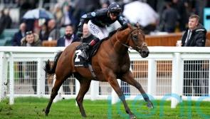 Cox so proud of Beverley Bullet hero Tis Marvellous