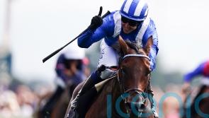 Fallon: Baaeed has everything needed to win the Arc