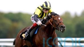 Egan: Leger trip will suit Elgar Eldarov, and rain would also be a bonus