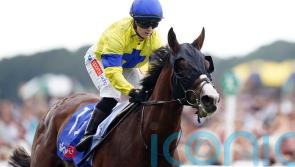 Haggas forced to rule well-fancied Soulcombe out of Haydock run