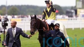 Goldream perfectly illustrates invaluable work of New Beginnings