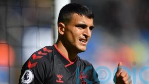 Mohamed Elyounoussi and Ibrahima Diallo available for Southampton
