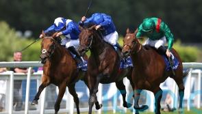 Vadeni leading big guns into battle in Irish Champion