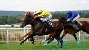 Fellowes looking towards Dewhurst, after ground dashed Marbaan hopes