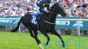 Tate mulling step up in trip with Royal Aclaim