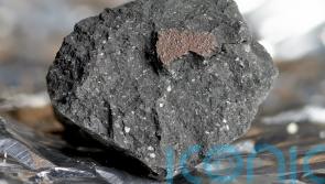 Extra-terrestrial water found for first time in meteorite