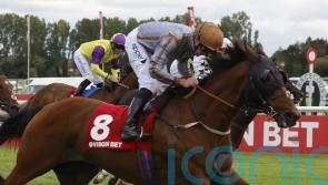 Summer special denies Commanche Falls in Ayr Gold Cup