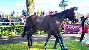 Paris Peacock continues on the upgrade at Gowran Park