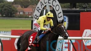 Royal Champion thrills Varian with Doonside Cup demolition