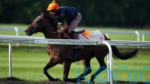 Baaeed limbers up for Champions Day by starring on Newmarket gallops