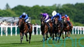 Ascot gearing up for Baaeed&rsquo;s Champion Stakes swansong
