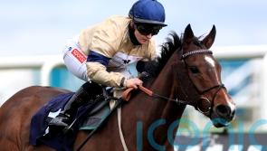 Outbox edged out in thrilling finish at Bro Park