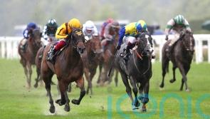 Dragon Symbol likely to take Champions Sprint test