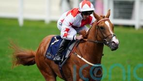 Smart colts face off in fascinating Tattersalls Stakes