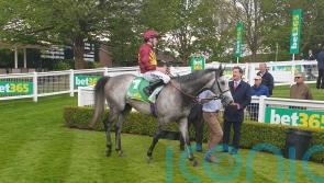 Cash far from certain to make Champions Day