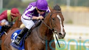 O&rsquo;Brien seeking further Beresford riches