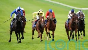 Mutasaabeq puts it all together for Joel Stakes victory