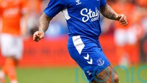 Allan leaves Everton for Abu Dhabi side Al Wahda