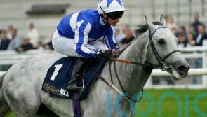 Art Power booked for Champions Sprint test