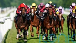 Johnson Houghton thrilled with Rage Of Bamby