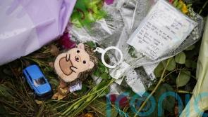 Drew Harris: Responding to children&rsquo;s deaths is heavy burden for gardai