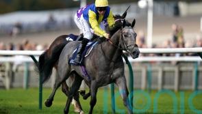 Amichi seals sales race double at Newmarket