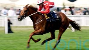 Dirty scope puts Saffron Beach Breeders&rsquo; Cup plan on hold